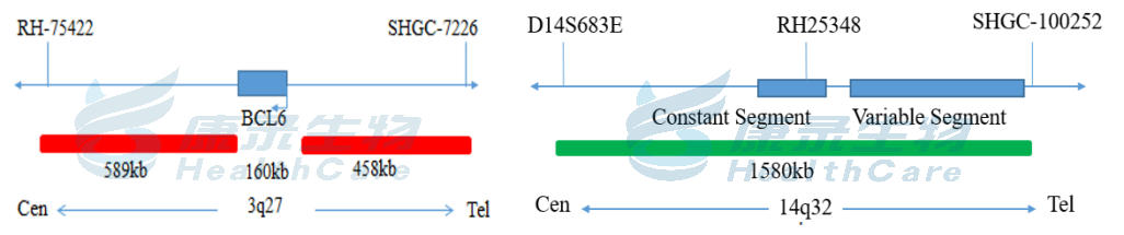 中国·拉斯维加斯(3499·官方认证)网站-Officialwebsite